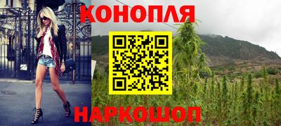a pvp Новозыбков