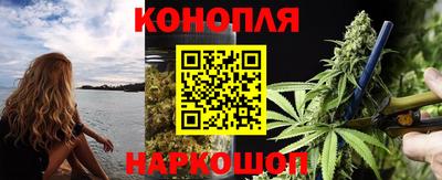 a pvp Новозыбков