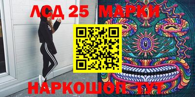 a pvp Новозыбков